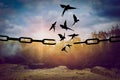 Freedom. Silhouettes of broken chain and birds flying in forest Royalty Free Stock Photo