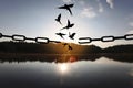 Freedom concept. Silhouettes of broken chain and birds flying at sunset