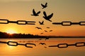 Freedom concept. Silhouettes of broken chain and birds flying at sunset Royalty Free Stock Photo
