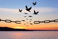 Freedom. Silhouettes of broken chain and birds flying over river at sunset Royalty Free Stock Photo