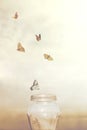 Freedom and dreamy concepts for a group of butterflies in a vase