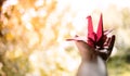 Freedom, Imagination,Mental Health and Creativity Concept. opened Hand Guesture with Paper Origami Bird. Positive Mind, Peaceful, Royalty Free Stock Photo