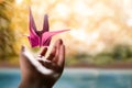 Freedom, Imagination,Mental Health and Creativity Concept. Paper Origami Bird Levitating over an opened Hand Guesture. Release,