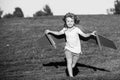 Freedom kids, boy playing to be airplane pilot, funny guy with cardboard wings as an airplane. Royalty Free Stock Photo