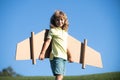Freedom kids, boy playing to be airplane pilot, funny guy with cardboard wings as an airplane. Royalty Free Stock Photo