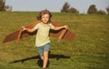 Freedom kids, boy playing to be airplane pilot, funny guy with cardboard wings as an airplane. Royalty Free Stock Photo