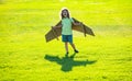 Freedom kids, boy playing to be airplane pilot, funny guy with cardboard wings as an airplane. Child pilot aviator with