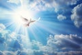 Freedom, peace and spirituality pigeon, white dove on blue sky