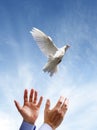 Freedom, peace and spirituality Royalty Free Stock Photo