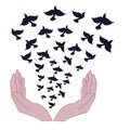 Freedom symbol. Free flight. Hands release the dove of peace. Royalty Free Stock Photo