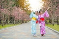 Freedom young girls with arms up outstretched Royalty Free Stock Photo