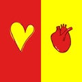 Freehand Doodle Vector Illustration Anatomical Realistic Human Heart Romantic Symbol Colorful Red Yellow Background. Cardiology