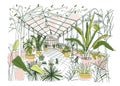 Freehand drawing of interior of tropical botanical garden full of cultivated plants with lush foliage. Sketch of