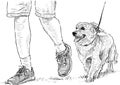 Freehand drawing of longhair dachshund with her owner going on a walk