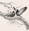 Freehand drawing of pigeons on tree branch in springtime