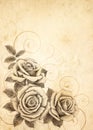 Freehand drawing rose 03 Royalty Free Stock Photo