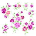 Freehand drawing rose illustration object Royalty Free Stock Photo