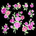 Freehand drawing rose illustration object Royalty Free Stock Photo