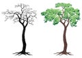 Freehand drawing of silhouette deciduous tree with roots Royalty Free Stock Photo