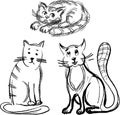 Sketches of funny cartoon domestic cats