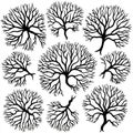 Freehand drawings of a tree's plan view meant for landscape planning Royalty Free Stock Photo