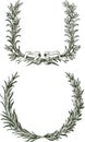 Freehand drawings of triumphal laurel and oak branches with ribbon Royalty Free Stock Photo