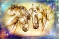 Freehand horse head pencil drawing Royalty Free Stock Photo