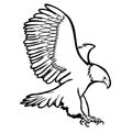 Freehand sketch illustration of eagle, hawk bird Royalty Free Stock Photo