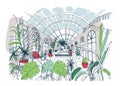 Freehand sketch of interior of greenhouse full of tropical plants. Colorful drawing of glasshouse with palms, exotic