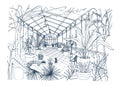 Freehand sketch of interior of tropical botanical garden full of cultivated plants with lush foliage. Rough drawing of