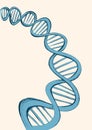 Freehand vector sketch of DNA