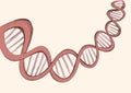 Freehand vector sketch of DNA Royalty Free Stock Photo