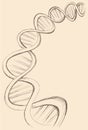 Freehand vector sketch of DNA Royalty Free Stock Photo