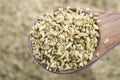 Freekeh in Wooden Spoon Royalty Free Stock Photo