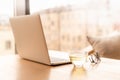 Freelance Desk with open laptop, cup of green tea and glasses on table. Cafe or coworking space. Concept of digital nomads, home