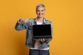 Freelance Websites. Positive Middle-Aged Woman Pointing At Laptop With Black Screen