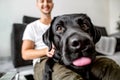 freelancer guy sitting at home working with a dog in an embrace, black labrador. Royalty Free Stock Photo