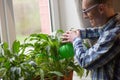 Freelancer taking care of home plants at working space at home. Man watering flowers from plastic watering can standing