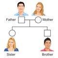 Biology - family tree versiyon 01 Royalty Free Stock Photo