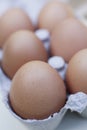 Freerange organic egg Royalty Free Stock Photo