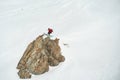 Freeride in Gudauri Georgia caucasus resort snowboarder skier