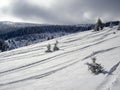 Freeride ski tracks in the snow