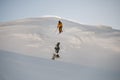 freeride skier in the air while jumping over a snow-covered mountain slope Royalty Free Stock Photo