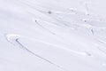 Freeride tracks on powder snow