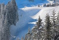 Freeride tracks in powder snow, bavarian alps