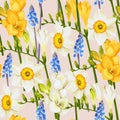 Freesia, daffodil and muscari seamless background