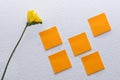 Freesia on white background with post-it notes Royalty Free Stock Photo