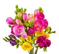 Freesias bouquet