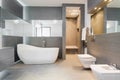 Freestanding bath in modern bathroom Royalty Free Stock Photo