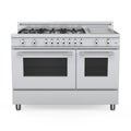 Freestanding Cooker Isolated